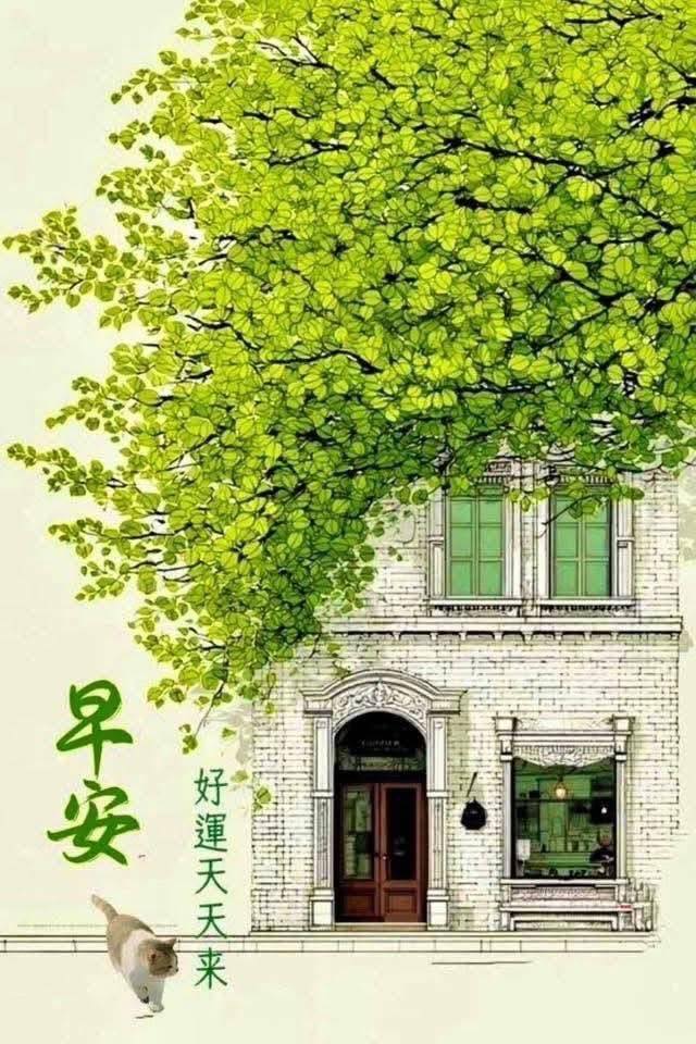 原圖